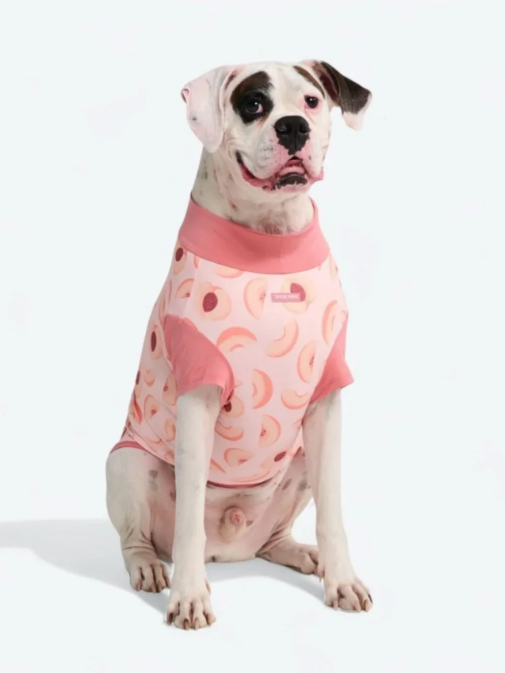 (NWT) Spark Paws - Sunblock Shirt - Peaches (Size 2XL) - Picture 2 of 6